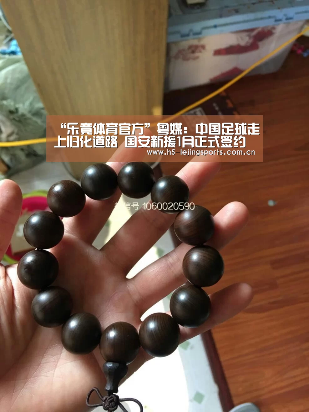 乐竟体育官网