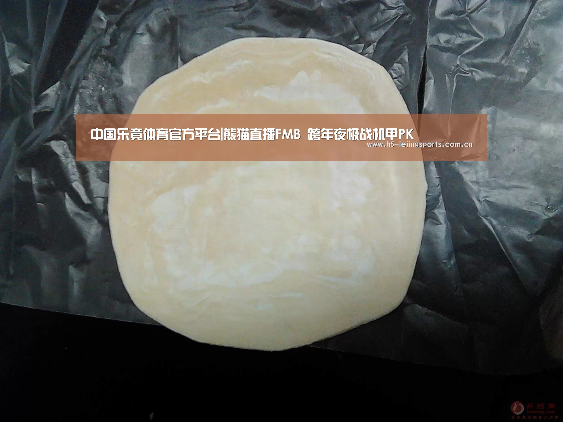 乐竟体育官方