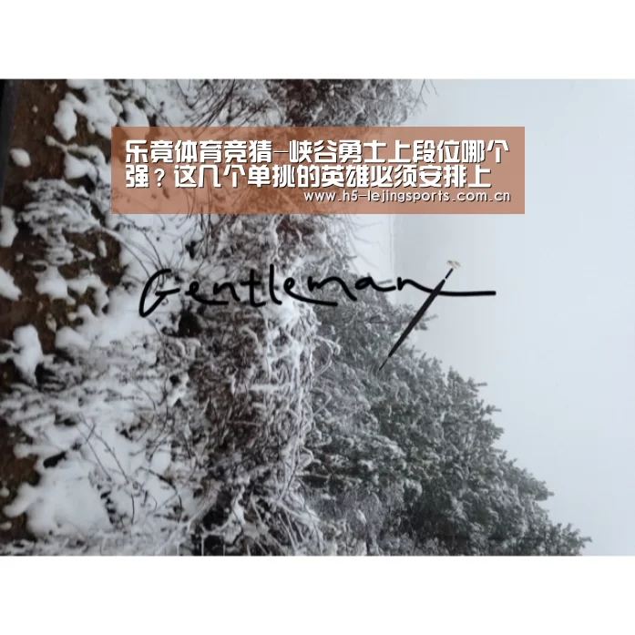 乐竟体育官网