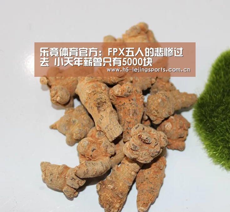 乐竟体育官方