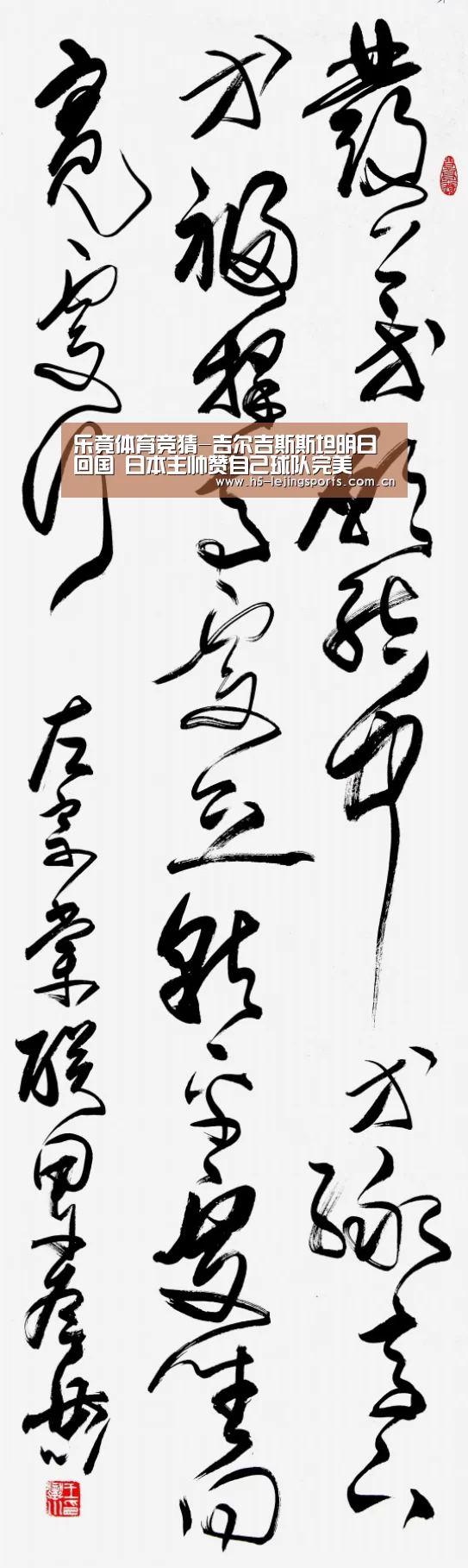 乐竟体育竞猜-吉尔吉斯斯坦明日回国 日本主帅赞自己球队完美(图2) 乐竟体育竞猜