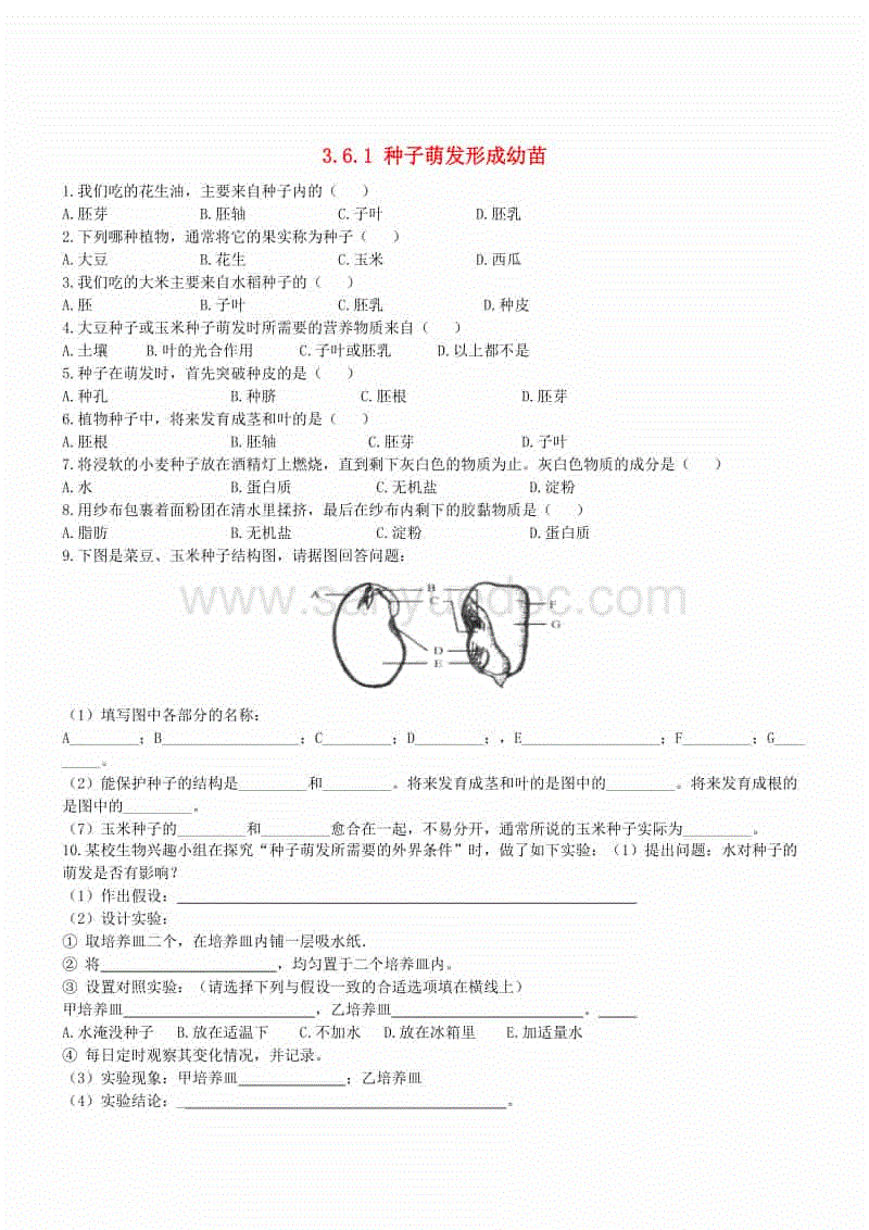 乐竟体育官方