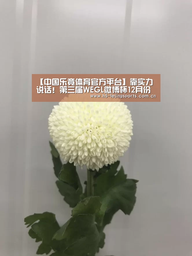 乐竟体育官网