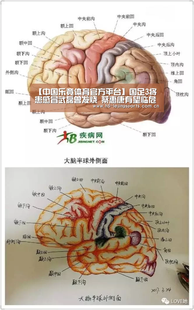 【中国乐竟体育官方平台】国足3将患感冒武磊曾发烧 蔡惠康有望
